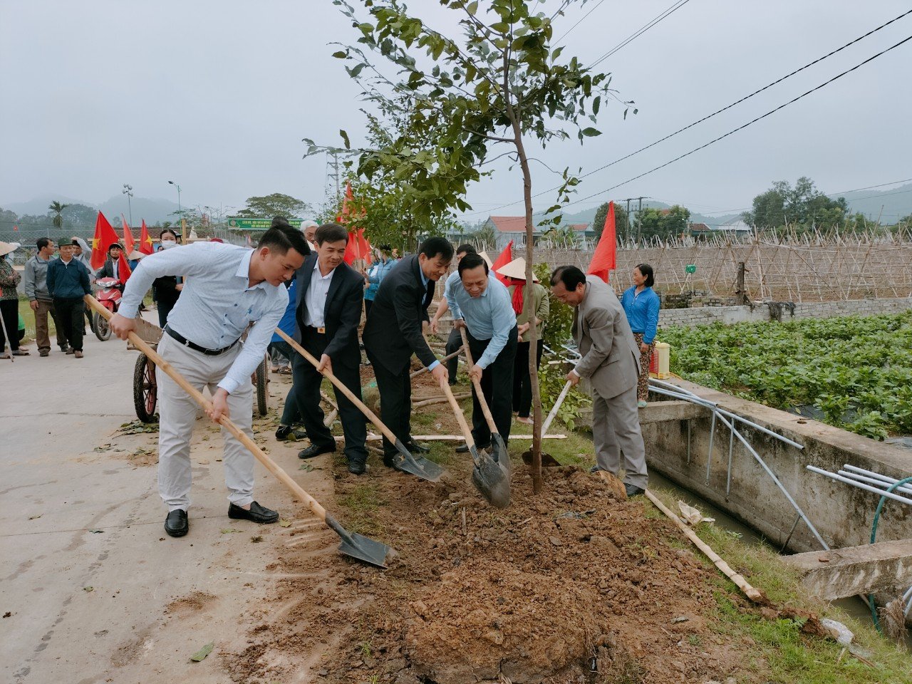 Hội nông dân Quỳnh Văn với Phong trào vận động hội viên ủng hộ trồng “Hàng cây Nông dân ơn Bác” giai đoạn 2018-2022